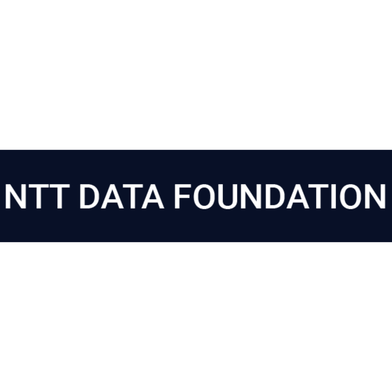 Logotipo NTT Data Foundation