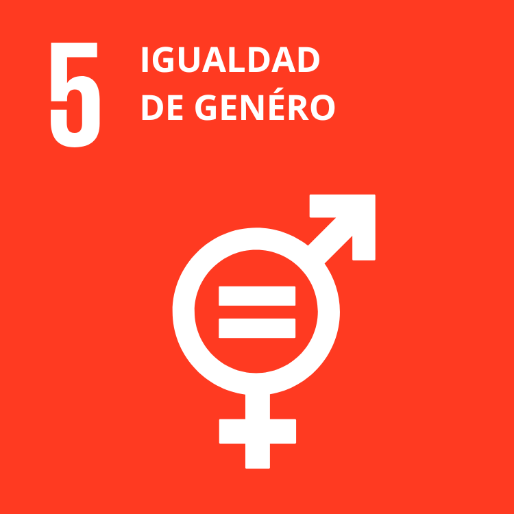 5 Igualdad de Género