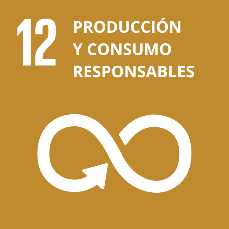 12 Porducción y consumo responsable