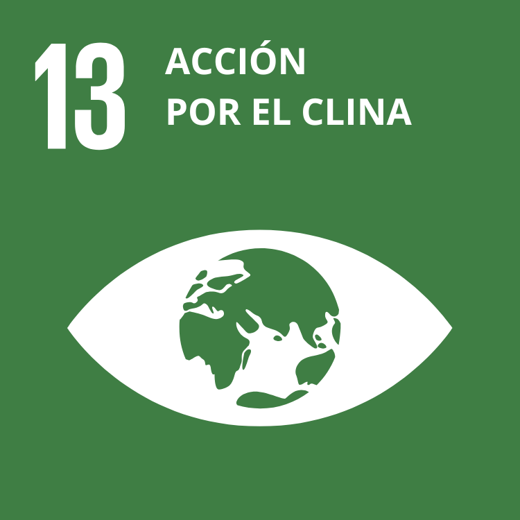13 Acción por el clima